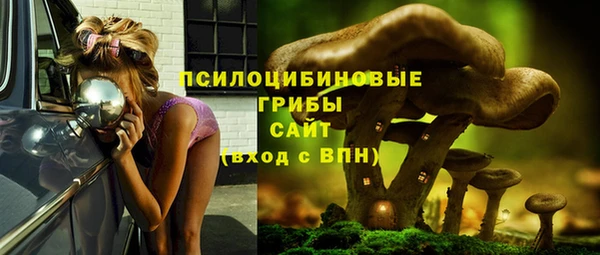 кристаллы Кодинск