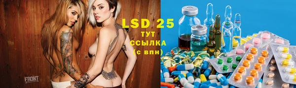 трава Коряжма