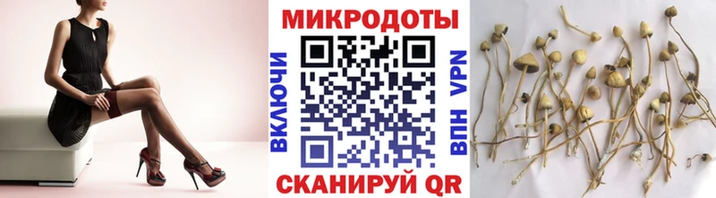 Купить  Красный Холм  Псилоцибиновые грибы MAGIC MUSHROOMS 